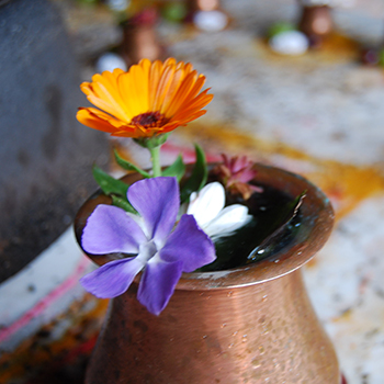 The game of Leela by Harish Johari